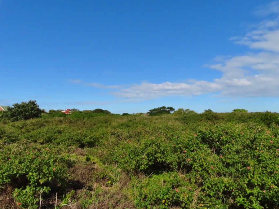 0 Bedroom Property for Sale in Forest Downs Eastern Cape